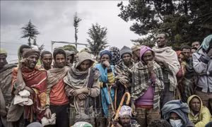 Các cơ quan cứu trợ của LHQ ngừng hoạt động tại Tigray (Ethiopia) 