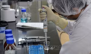 Mỹ hoan nghênh Ấn Độ nối lại xuất khẩu vaccine