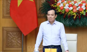Kiện toàn Hội đồng thẩm định Quy hoạch Lâm nghiệp quốc gia