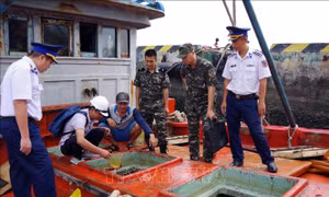 Phát hiện 2 tàu chở dầu DO không rõ nguồn gốc