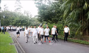 Giao lưu giữa các Đại sứ quán và các cơ quan đại diện tại Singapore