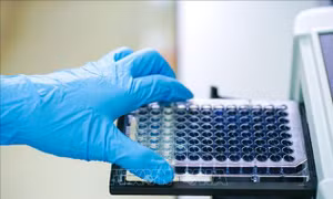 Mỹ đạt bước tiến mới trong phát hiện kháng thể chống virus SARS-CoV-2