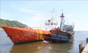 Cứu hộ thành công tàu cá hỏng máy cùng ngư dân gặp nạn