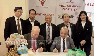 Việt Nam tham gia Fruit Logistica 2025 tại Đức với quy mô lớn nhất từ trước đến nay