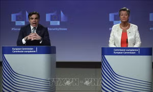 EU công bố chiến lược an ninh giai đoạn 2020 - 2025
