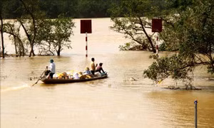 Ứng phó với bão số 8: Quảng Bình chủ động phương án di dời dân