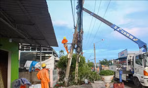 Dông lốc làm gãy trụ điện, cây xanh bật gốc hàng loạt ở Cần Thơ