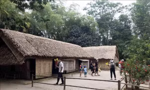 Đổi mới trên quê hương của Người