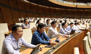 Phân công cơ quan soạn thảo văn bản thi hành các Luật, Nghị quyết Quốc hội
