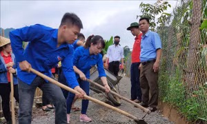 Hỗ trợ xi măng để xã vùng cao làm đường giao thông nông thôn