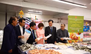 Thúc đẩy đầu tư, thương mại Việt Nam - Australia lên tầm cao mới
