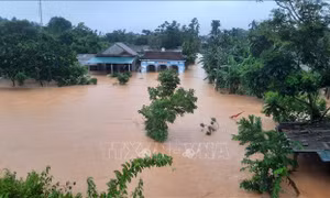 Mưa lớn ở Quảng Trị, nhiều gia đình trắng đêm di chuyển tài sản 