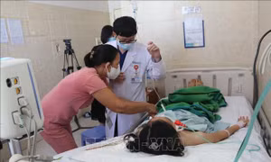 Thêm một bệnh nhân nghi ngộ độc pate Minh Chay điều trị tại Đồng Nai