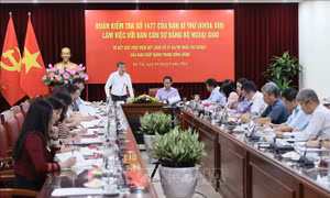 Đoàn Kiểm tra của Ban Bí thư làm việc với Ban cán sự đảng Bộ Ngoại giao