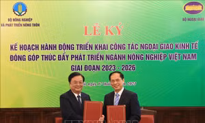 Phối hợp triển khai ngoại giao kinh tế đưa nông sản Việt vươn xa 