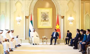 Thủ tướng tiếp Bộ trưởng Công nghiệp và Công nghệ cao UAE