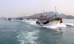 Tuân thủ quy định chống đánh bắt hải sản IUU, Ninh Thuận không có tàu cá vi phạm vùng biển nước ngoài