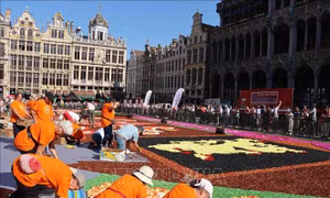 Thảm hoa Brussels chào đón du khách sau 2 năm vắng bóng