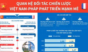 Quan hệ đối tác chiến lược Việt Nam-Pháp phát triển mạnh mẽ