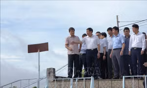 Kiểm tra công tác phòng, chống thiên tai, an toàn hồ, đập tại hồ Dầu Tiếng