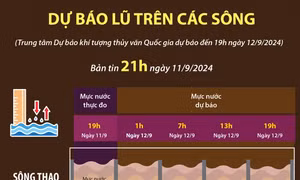 Dự báo lũ trên các sông (bản tin 21h ngày 11/9) 