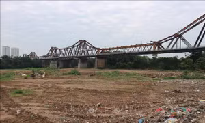 Hoàn thành giải tỏa khoảng 90.000 m2 đất lấn chiếm bờ vở, bãi bồi ven sông Hồng 
