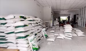 An Giang: Phát hiện 5 tấn đường cát nhập lậu tại kho hàng khu vực biên giới
