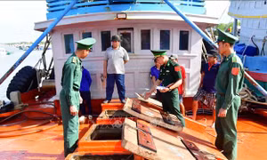 Bắt tàu chở 50.000 lít dầu không rõ nguồn gốc