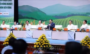 Dân chủ, thẳng thắn, chân thành, tin cậy và trách nhiệm