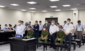 Nguyên Tổng Giám đốc VEAM bị tuyên phạt 11 năm tù