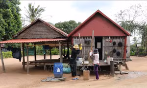 Người Bahnar ở Gia Lai ăn mừng mùa lúa mới