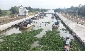 Bạc Liêu: Chủ động phòng, chống hạn, xâm nhập mặn