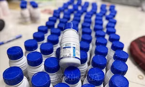 An Giang: Tạm giữ đối tượng sản xuất, buôn bán thuốc bảo vệ thực vật giả