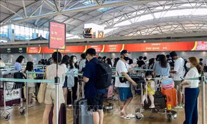 Gần 850.000 du khách Hàn Quốc đến Việt Nam trong tháng 4