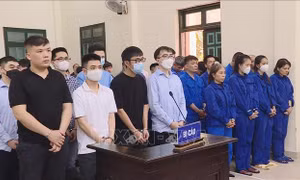 Hà Nội: Xét xử 53 bị cáo trong đường dây đánh bạc trực tuyến nghìn tỷ đồng
