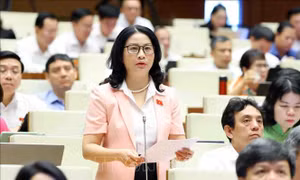 Thực hiện quyết liệt các giải pháp chống hạn mặn, bảo vệ nguồn nước