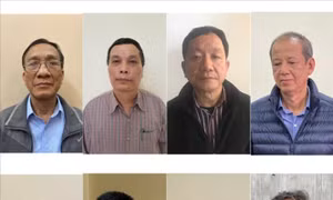 Xét xử vụ Gang thép Thái Nguyên: Triệu tập đại diện nhiều bộ, ngành có liên quan