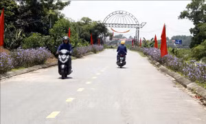 Đổi thay trên vùng quê An toàn khu Xuân Cẩm