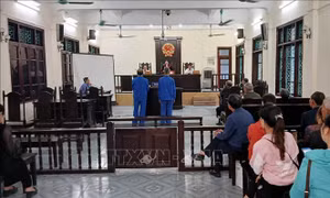 Giao đất trái thẩm quyền, cựu Bí thư Đảng ủy phường lĩnh án 10 năm tù