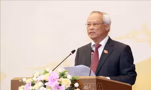 Gặp mặt cơ quan đại diện ngoại giao, tổ chức quốc tế nhân dịp Xuân Canh Tý 