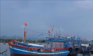 Tạo chuỗi liên hoàn dịch vụ hậu cần nghề cá