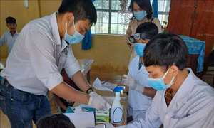 Phát hiện thêm một học sinh mắc bạch hầu ở Lâm Đồng
