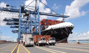 Hàng container qua cảng biển Việt Nam tăng 18%