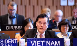 Việt Nam tiếp tục phát huy vai trò thành viên tích cực, có trách nhiệm tại UNESCO