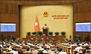 Luật Lưu trữ (sửa đổi): Đảm bảo quyền tiếp cận thông tin của công dân