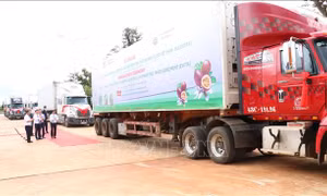 Hiệp định EVFTA: Gia Lai xuất khẩu 100 tấn chanh leo đầu tiên sang EU