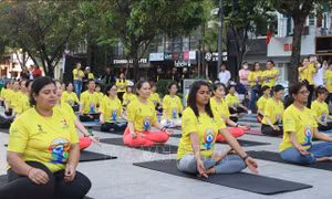 Gần 1.000 người tham gia đồng diễn tại Ngày Quốc tế Yoga lần thứ 8