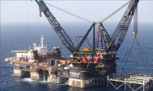 OPEC+ đánh giá thấp tác động của các kho dự trữ chiến lược đối với thị trường