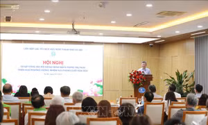 Hoạt động đối ngoại nhân dân góp phần phát triển Thủ đô