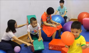 Trợ giúp xã hội cho người tâm thần, trẻ tự kỷ